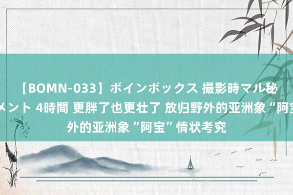 【BOMN-033】ボインボックス 撮影時マル秘面接ドキュメント 4時間 更胖了也更壮了 放归野外的亚洲象“阿宝”情状考究