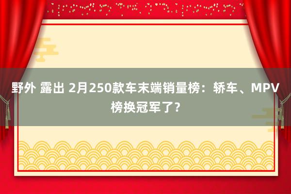 野外 露出 2月250款车末端销量榜：轿车、MPV榜换冠军了？