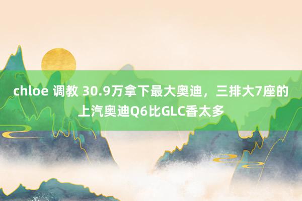 chloe 调教 30.9万拿下最大奥迪，三排大7座的上汽奥迪Q6比GLC香太多