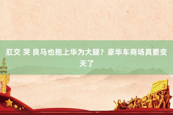 肛交 哭 良马也抱上华为大腿？豪华车商场真要变天了