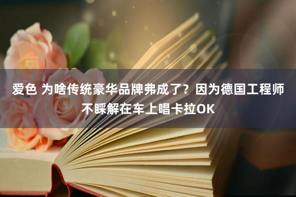 爱色 为啥传统豪华品牌弗成了？因为德国工程师不睬解在车上唱卡拉OK