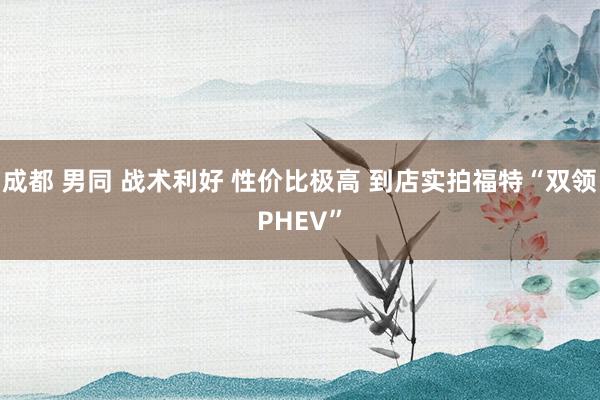 成都 男同 战术利好 性价比极高 到店实拍福特“双领PHEV”