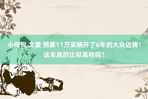 小母狗 文爱 预算11万买辆开了6年的大众迈腾！这车真的比拟高档吗？