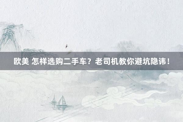 欧美 怎样选购二手车？老司机教你避坑隐讳！