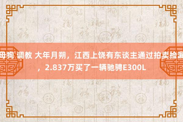 母狗 调教 大年月朔，江西上饶有东谈主通过拍卖捡漏，2.837万买了一辆驰骋E300L