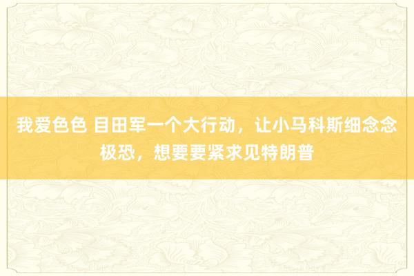我爱色色 目田军一个大行动，让小马科斯细念念极恐，想要要紧求见特朗普