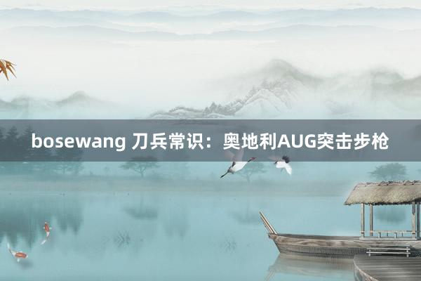 bosewang 刀兵常识：奥地利AUG突击步枪