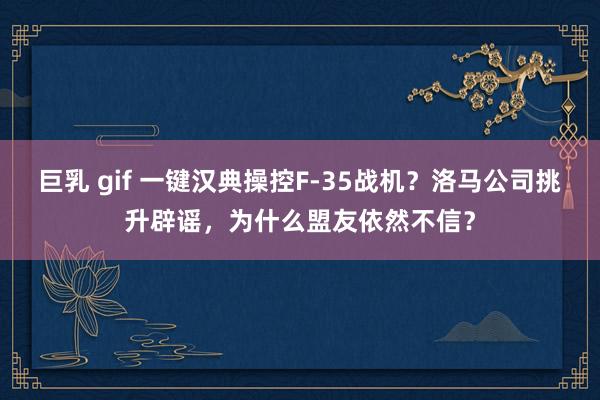 巨乳 gif 一键汉典操控F-35战机？洛马公司挑升辟谣，为什么盟友依然不信？