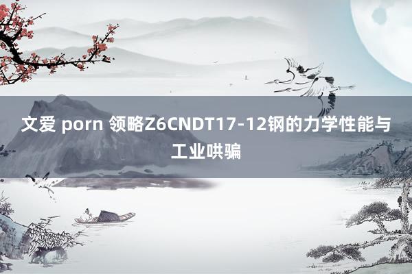文爱 porn 领略Z6CNDT17-12钢的力学性能与工业哄骗