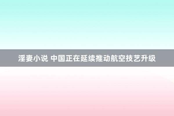 淫妻小说 中国正在延续推动航空技艺升级