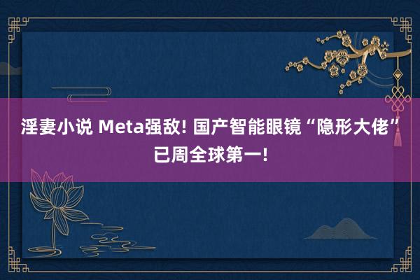 淫妻小说 Meta强敌! 国产智能眼镜“隐形大佬”已周全球第一!