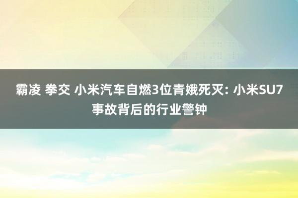 霸凌 拳交 小米汽车自燃3位青娥死灭: 小米SU7事故背后的行业警钟