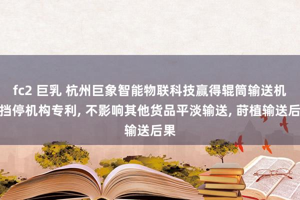 fc2 巨乳 杭州巨象智能物联科技赢得辊筒输送机用挡停机构专利, 不影响其他货品平淡输送, 莳植输送后果