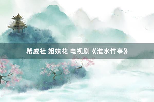 希威社 姐妹花 电视剧《淮水竹亭》