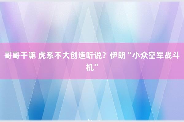 哥哥干嘛 虎系不大创造听说？伊朗“小众空军战斗机”