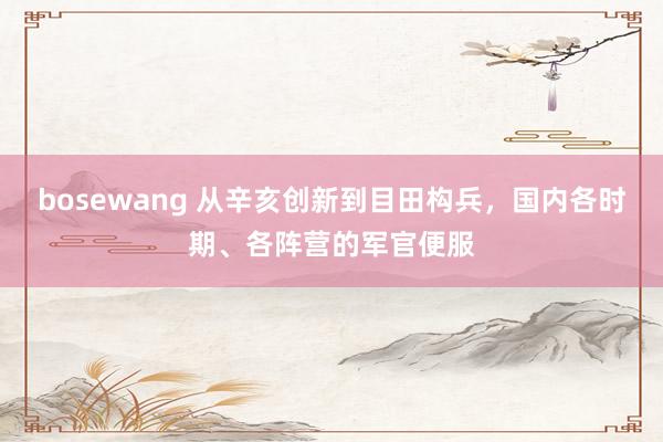 bosewang 从辛亥创新到目田构兵，国内各时期、各阵营的军官便服