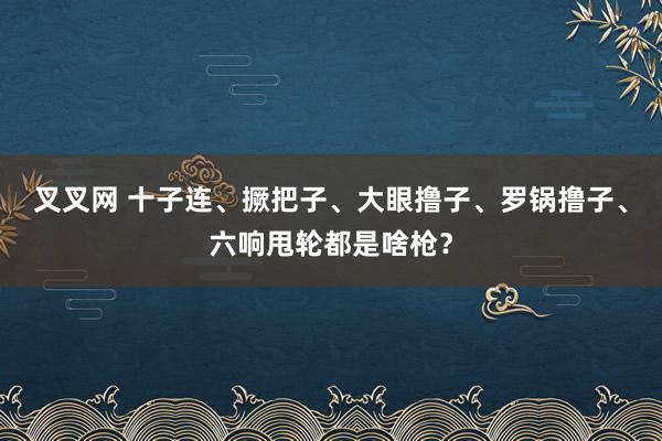 叉叉网 十子连、撅把子、大眼撸子、罗锅撸子、六响甩轮都是啥枪？