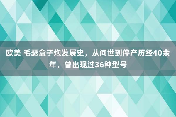 欧美 毛瑟盒子炮发展史，从问世到停产历经40余年，曾出现过36种型号