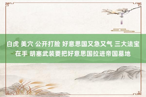 白虎 美穴 公开打脸 好意思国又急又气 三大法宝在手 胡塞武装要把好意思国拉进帝国墓地