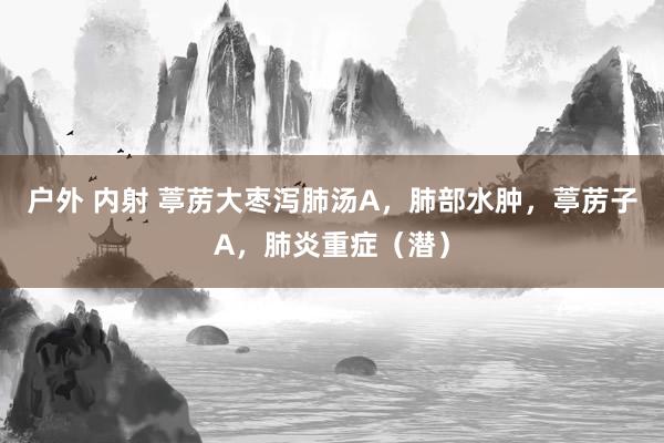 户外 内射 葶苈大枣泻肺汤A，肺部水肿，葶苈子A，肺炎重症（潜）