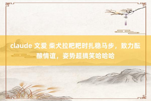 claude 文爱 柴犬拉粑粑时扎稳马步，致力酝酿情谊，姿势超搞笑哈哈哈